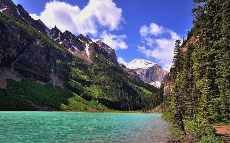 网络化高端信息化